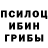 Псилоцибиновые грибы MAGIC MUSHROOMS Luke Detering