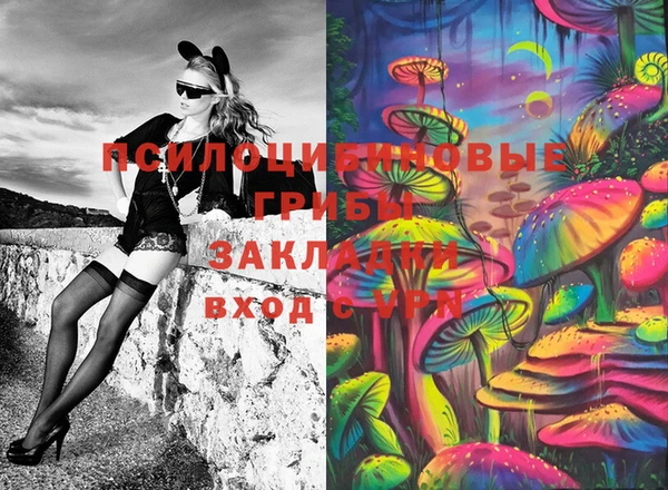 кокс Белокуриха