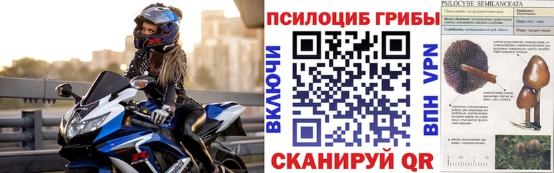 Галлюциногенные грибы прущие грибы  Красноуфимск 